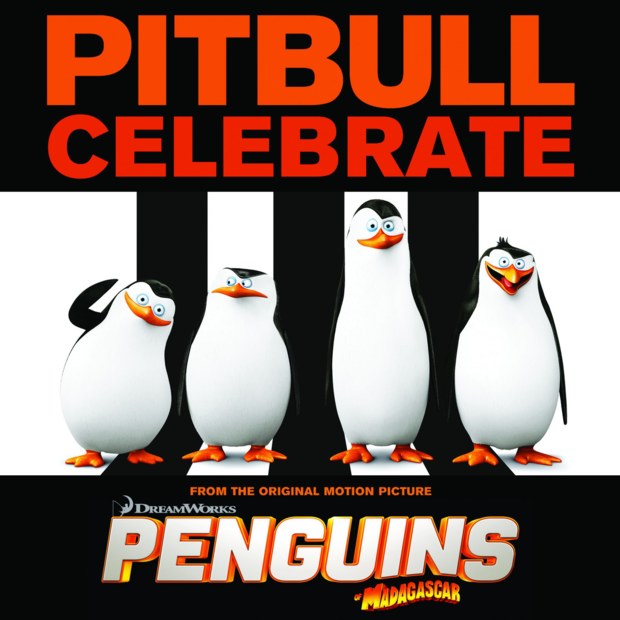 ترجمه متن و دانلود آهنگ Celebrate از Pitbull